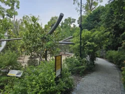 Singapore Botanic Gardens Svg+xml,%3Csvg%20xmlns%3D%22http%3A%2F%2Fwww.w3