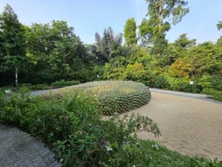 Singapore Botanic Gardens Svg+xml,%3Csvg%20xmlns%3D%22http%3A%2F%2Fwww.w3