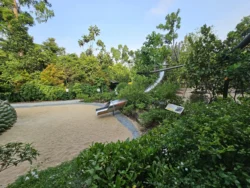 Singapore Botanic Gardens Svg+xml,%3Csvg%20xmlns%3D%22http%3A%2F%2Fwww.w3