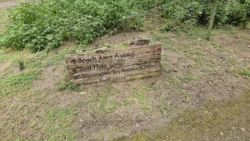 Coney Island Svg+xml,%3Csvg%20xmlns%3D%22http%3A%2F%2Fwww.w3