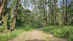 Coney Island Svg+xml,%3Csvg%20xmlns%3D%22http%3A%2F%2Fwww.w3