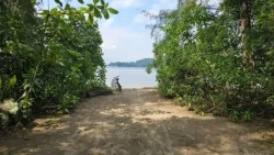 Coney Island Svg+xml,%3Csvg%20xmlns%3D%22http%3A%2F%2Fwww.w3