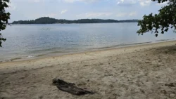 Coney Island Svg+xml,%3Csvg%20xmlns%3D%22http%3A%2F%2Fwww.w3