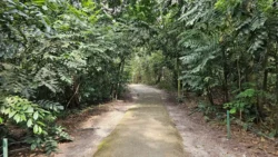 Coney Island Svg+xml,%3Csvg%20xmlns%3D%22http%3A%2F%2Fwww.w3