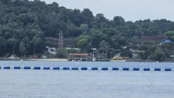 Coney Island Svg+xml,%3Csvg%20xmlns%3D%22http%3A%2F%2Fwww.w3