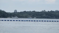 Coney Island Svg+xml,%3Csvg%20xmlns%3D%22http%3A%2F%2Fwww.w3