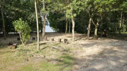 Coney Island Svg+xml,%3Csvg%20xmlns%3D%22http%3A%2F%2Fwww.w3