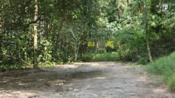 Coney Island Svg+xml,%3Csvg%20xmlns%3D%22http%3A%2F%2Fwww.w3