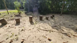 Coney Island Svg+xml,%3Csvg%20xmlns%3D%22http%3A%2F%2Fwww.w3