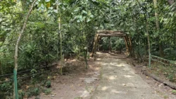 Coney Island Svg+xml,%3Csvg%20xmlns%3D%22http%3A%2F%2Fwww.w3