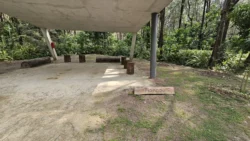 Coney Island Svg+xml,%3Csvg%20xmlns%3D%22http%3A%2F%2Fwww.w3