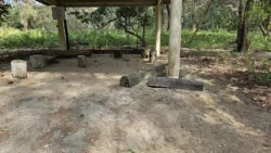 Coney Island Svg+xml,%3Csvg%20xmlns%3D%22http%3A%2F%2Fwww.w3