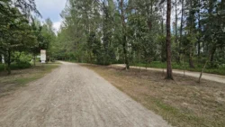 Coney Island Svg+xml,%3Csvg%20xmlns%3D%22http%3A%2F%2Fwww.w3