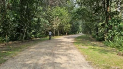 Coney Island Svg+xml,%3Csvg%20xmlns%3D%22http%3A%2F%2Fwww.w3