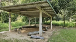 Coney Island Svg+xml,%3Csvg%20xmlns%3D%22http%3A%2F%2Fwww.w3