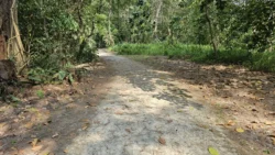 Coney Island Svg+xml,%3Csvg%20xmlns%3D%22http%3A%2F%2Fwww.w3