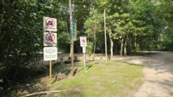 Coney Island Svg+xml,%3Csvg%20xmlns%3D%22http%3A%2F%2Fwww.w3