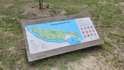 Coney Island Svg+xml,%3Csvg%20xmlns%3D%22http%3A%2F%2Fwww.w3