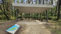 Coney Island Svg+xml,%3Csvg%20xmlns%3D%22http%3A%2F%2Fwww.w3