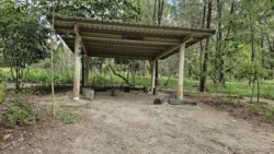 Coney Island Svg+xml,%3Csvg%20xmlns%3D%22http%3A%2F%2Fwww.w3