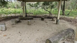 Coney Island Svg+xml,%3Csvg%20xmlns%3D%22http%3A%2F%2Fwww.w3