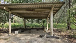 Coney Island Svg+xml,%3Csvg%20xmlns%3D%22http%3A%2F%2Fwww.w3