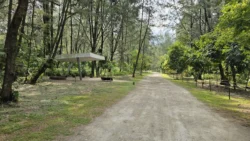 Coney Island Svg+xml,%3Csvg%20xmlns%3D%22http%3A%2F%2Fwww.w3