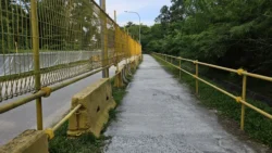 Coney Island Svg+xml,%3Csvg%20xmlns%3D%22http%3A%2F%2Fwww.w3