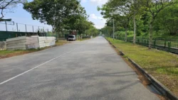 Coney Island Svg+xml,%3Csvg%20xmlns%3D%22http%3A%2F%2Fwww.w3