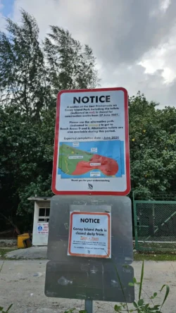 Coney Island Svg+xml,%3Csvg%20xmlns%3D%22http%3A%2F%2Fwww.w3