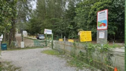 Coney Island Svg+xml,%3Csvg%20xmlns%3D%22http%3A%2F%2Fwww.w3