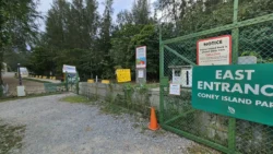 Coney Island Svg+xml,%3Csvg%20xmlns%3D%22http%3A%2F%2Fwww.w3