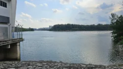 Coney Island Svg+xml,%3Csvg%20xmlns%3D%22http%3A%2F%2Fwww.w3