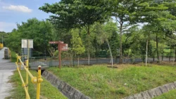 Coney Island Svg+xml,%3Csvg%20xmlns%3D%22http%3A%2F%2Fwww.w3