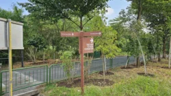 Coney Island Svg+xml,%3Csvg%20xmlns%3D%22http%3A%2F%2Fwww.w3