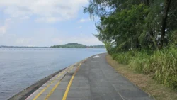 Coney Island Svg+xml,%3Csvg%20xmlns%3D%22http%3A%2F%2Fwww.w3