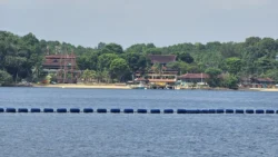 Coney Island Svg+xml,%3Csvg%20xmlns%3D%22http%3A%2F%2Fwww.w3