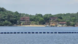 Coney Island Svg+xml,%3Csvg%20xmlns%3D%22http%3A%2F%2Fwww.w3