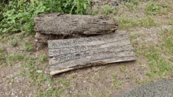 Coney Island Svg+xml,%3Csvg%20xmlns%3D%22http%3A%2F%2Fwww.w3