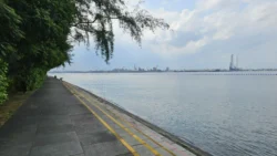 Coney Island Svg+xml,%3Csvg%20xmlns%3D%22http%3A%2F%2Fwww.w3