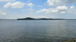 Coney Island Svg+xml,%3Csvg%20xmlns%3D%22http%3A%2F%2Fwww.w3