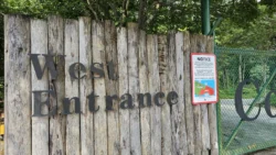 Coney Island Svg+xml,%3Csvg%20xmlns%3D%22http%3A%2F%2Fwww.w3