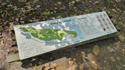 Coney Island Svg+xml,%3Csvg%20xmlns%3D%22http%3A%2F%2Fwww.w3