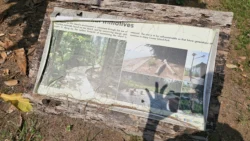 Coney Island Svg+xml,%3Csvg%20xmlns%3D%22http%3A%2F%2Fwww.w3