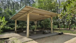 Coney Island Svg+xml,%3Csvg%20xmlns%3D%22http%3A%2F%2Fwww.w3