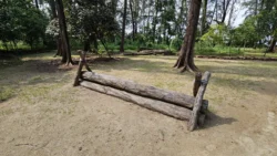 Coney Island Svg+xml,%3Csvg%20xmlns%3D%22http%3A%2F%2Fwww.w3