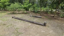 Coney Island Svg+xml,%3Csvg%20xmlns%3D%22http%3A%2F%2Fwww.w3