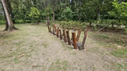 Coney Island Svg+xml,%3Csvg%20xmlns%3D%22http%3A%2F%2Fwww.w3