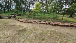 Coney Island Svg+xml,%3Csvg%20xmlns%3D%22http%3A%2F%2Fwww.w3