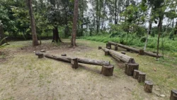 Coney Island Svg+xml,%3Csvg%20xmlns%3D%22http%3A%2F%2Fwww.w3